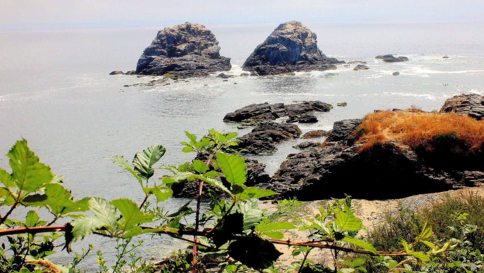 Explore a Magia de Bahía Lota no Chile - Lota | Secret World Trip Planner