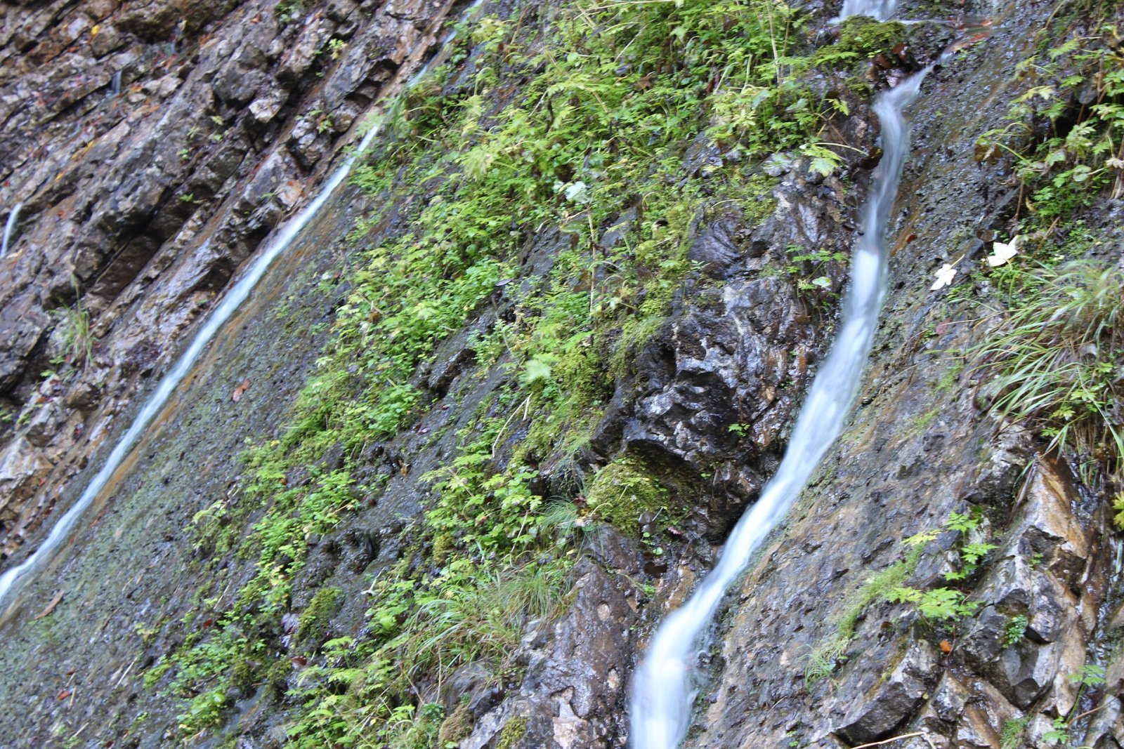 Descubra Wimbachklamm: uma joia natural na Baviera - Ramsau bei Berchtesgaden | Secret World Trip Planner