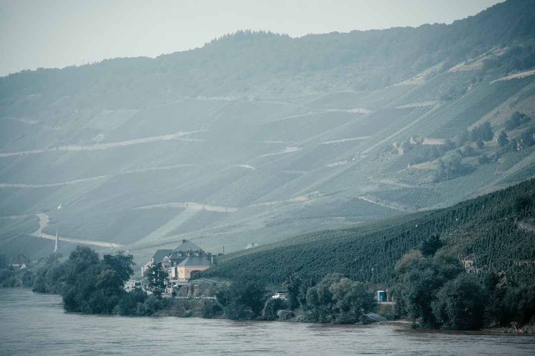 Exploring the Moselle River Valley in Bernkastel-Kues - Bernkastel-Kues | Secret World Trip Planner