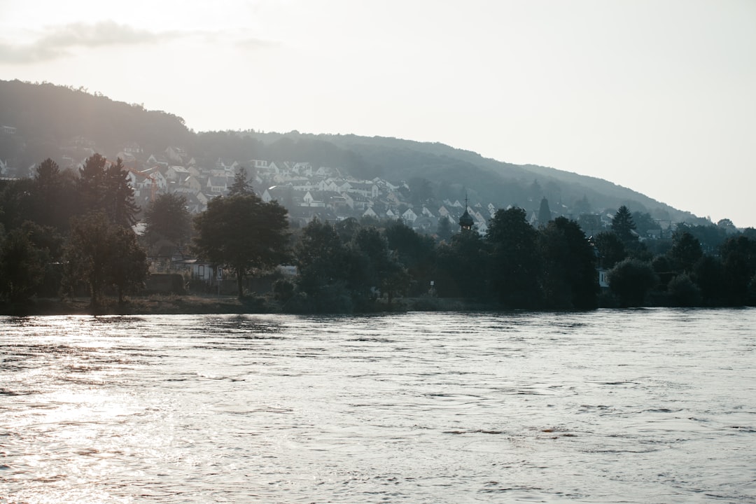 Exploring the Moselle River Valley in Bernkastel-Kues - Bernkastel-Kues | Secret World Trip Planner