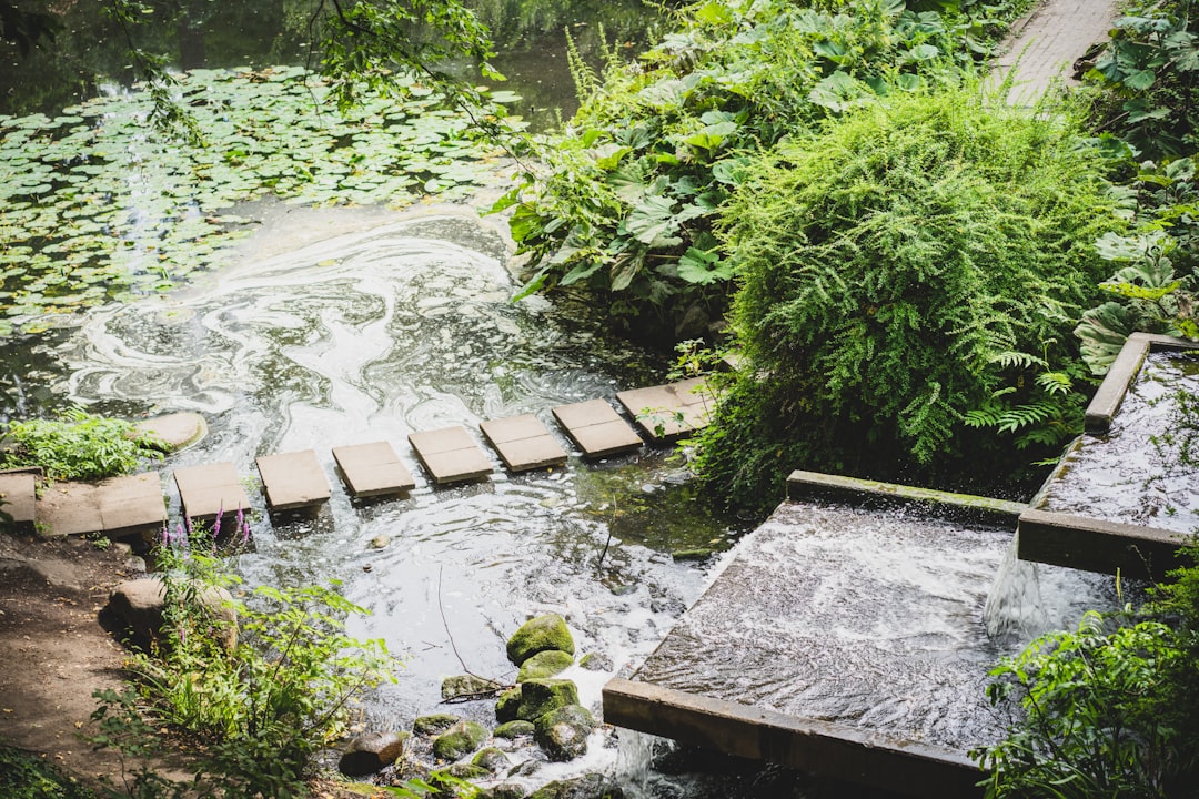 Planten un Blomen : un coin de nature à Hambourg - Hamburg | Secret World Trip Planner