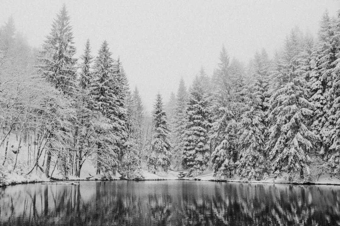 Entdecken Sie den Thüringer Wald: ein Naturjuwel in Deutschland - Oberhof | Secret World Trip Planner