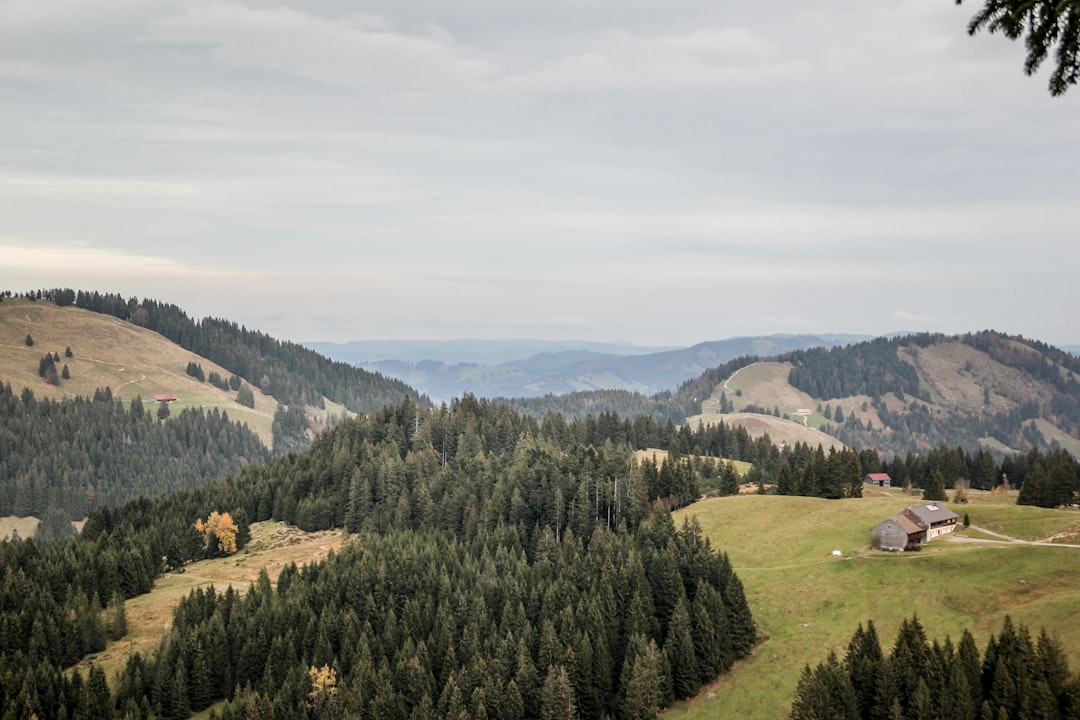 探索Rennsteig Ridge:图林根州自然与历史的步道 - Neuhaus am Rennweg | Secret World Trip Planner