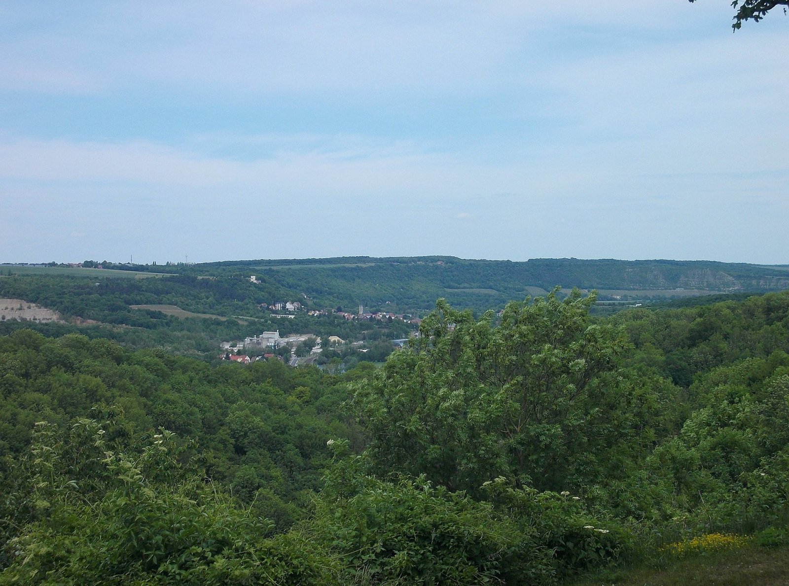Descubra o Vale de Saale-Unstrut: Natureza e História em Naumburg - Naumburg (Saale) | Secret World Trip Planner
