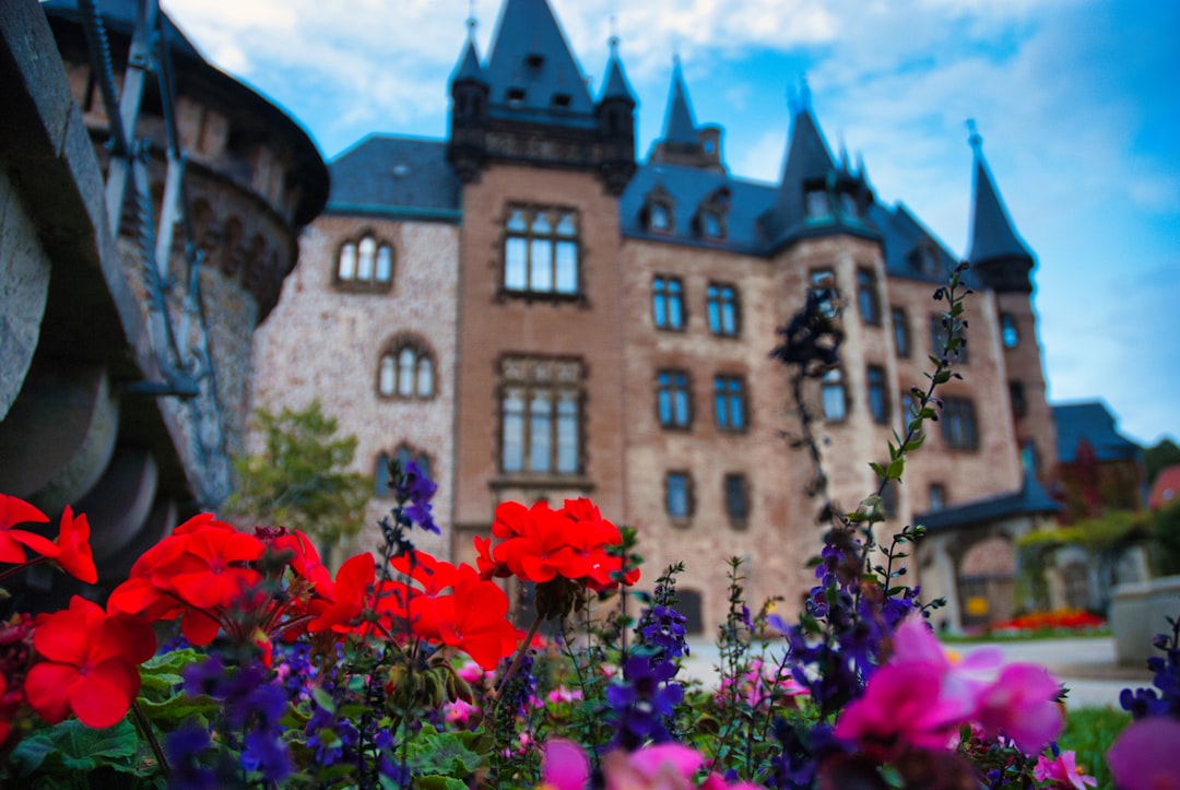 Descubra o Castelo de Wernigerode: uma joia da Saxônia-Anhalt - Wernigerode | Secret World Trip Planner