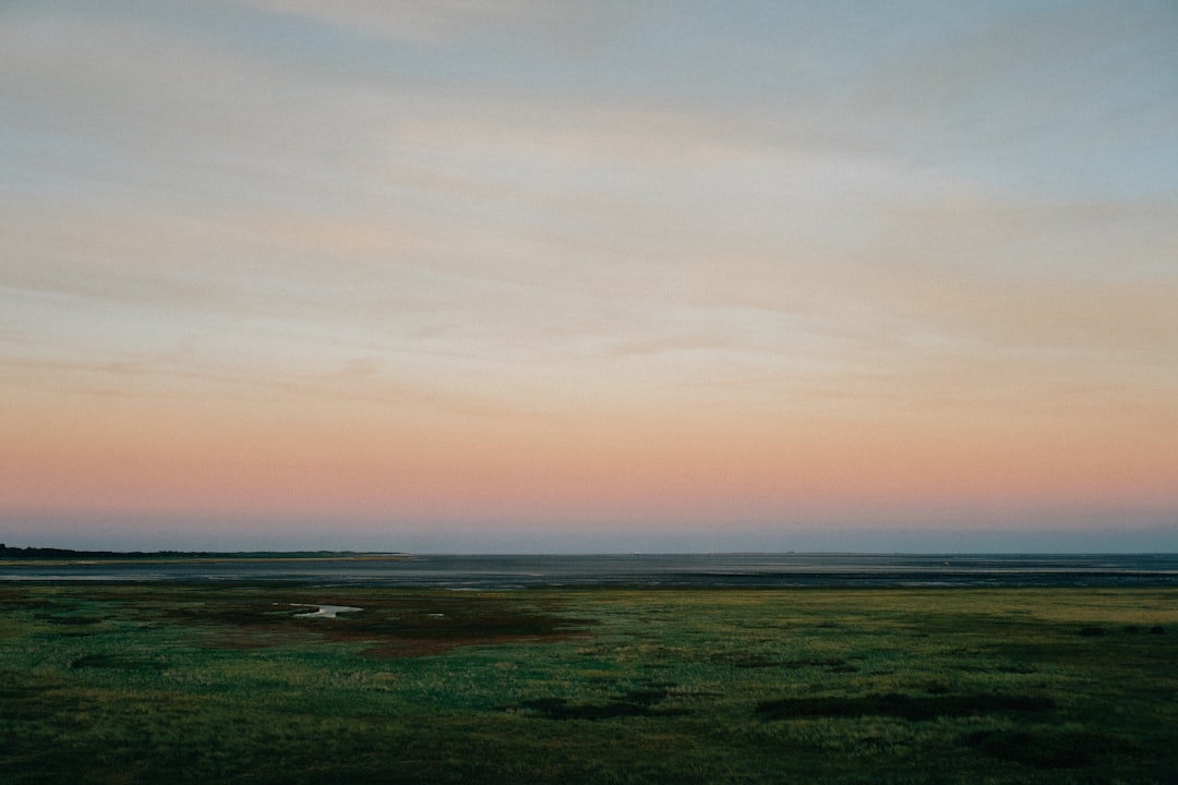 Discover Wattenmeer National Park in Cuxhaven: A Natural Gem — Cuxhaven