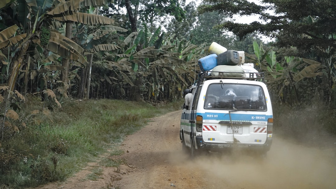 Senderos impresionantes en Moshi: Aventuras en Kilimanjaro - Moshi | Secret World Trip Planner