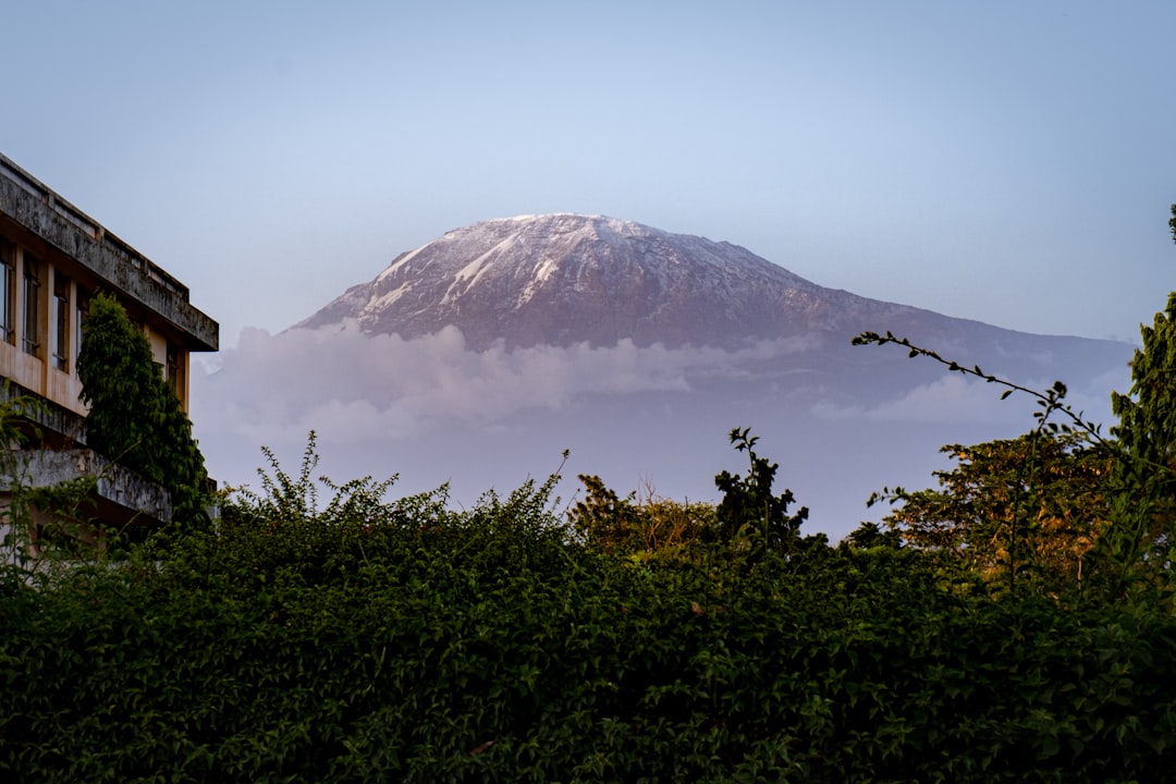 Senderos impresionantes en Moshi: Aventuras en Kilimanjaro - Moshi | Secret World Trip Planner
