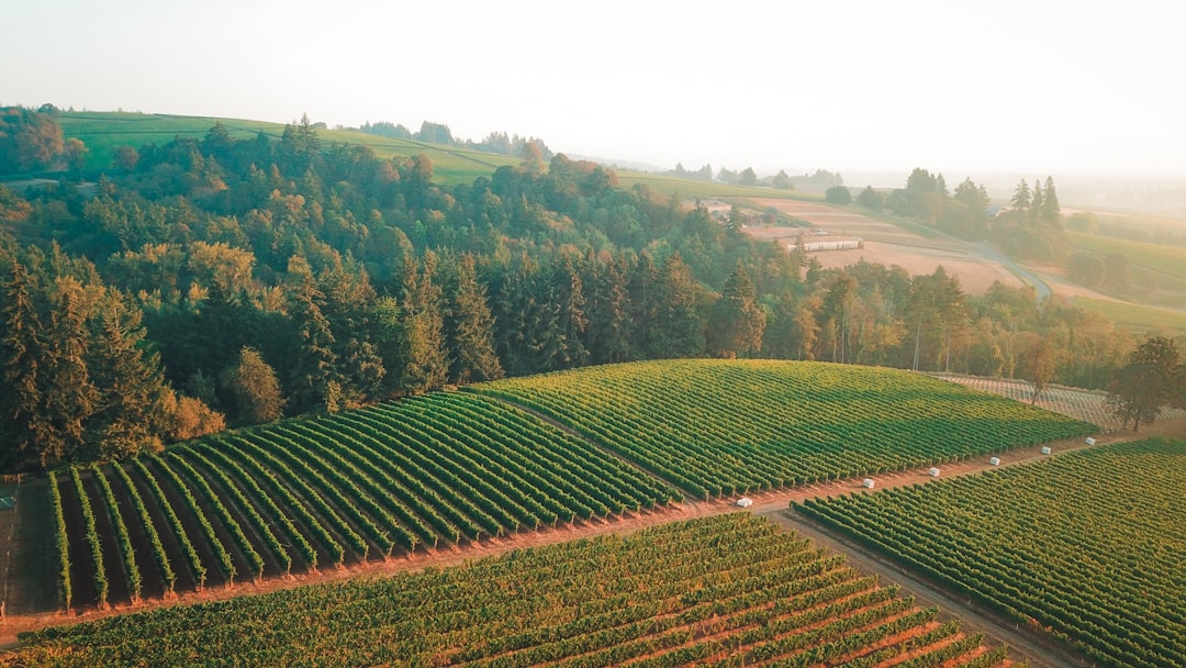 Willamette Valley: Das Paradies für Pinot Noir - Willamette Valley | Secret World Trip Planner