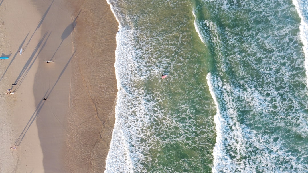 바다의 조각: 본다이 해안의 예술 - Bondi Beach Nuovo Galles del Sud 2026 | Secret World Trip Planner