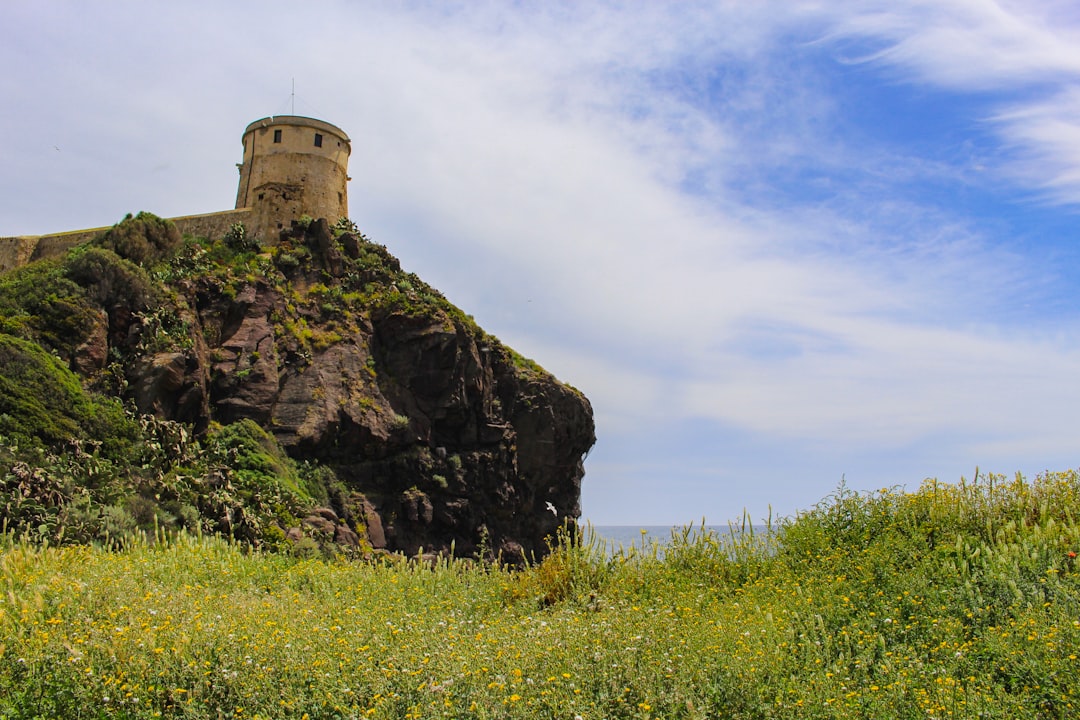 Explorando el Monumento Volcánico del Monte St. Helens - Castle Rock | Secret World Trip Planner