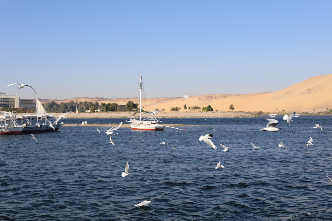 Madinat Coraya: Um Paraíso no Mar Vermelho - Marsa Alam | Secret World Trip Planner