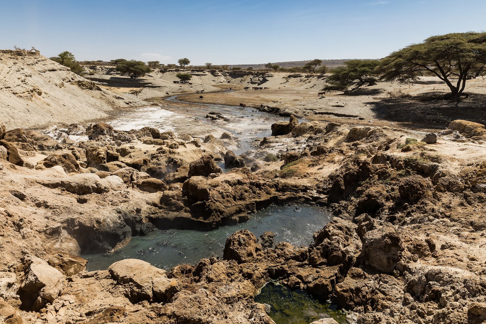 Entdecken Sie die Warmen Thermalquellen Äthiopiens - FJHM+HR Dole | Secret World Trip Planner