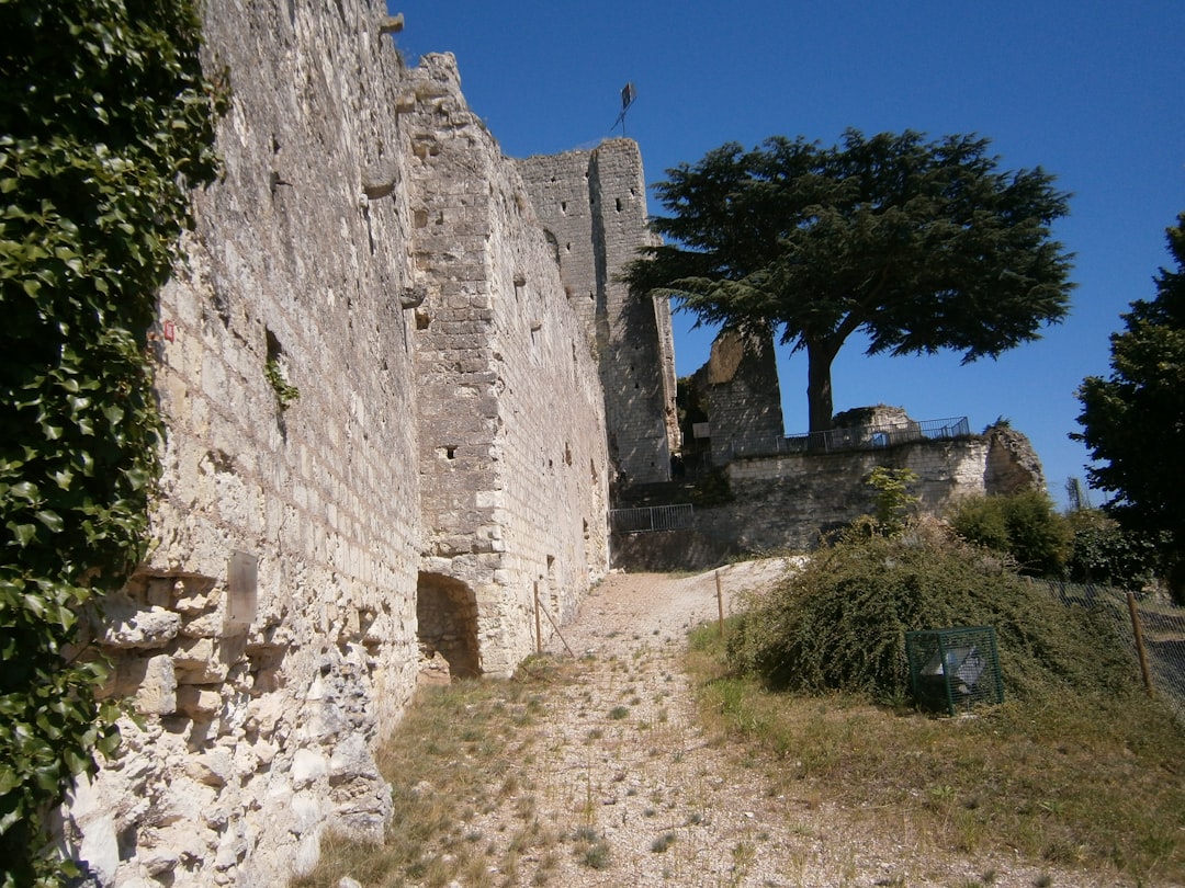 Scopri il fascino del Château de Pierreclos in Borgogna - Cluny | Secret World Trip Planner