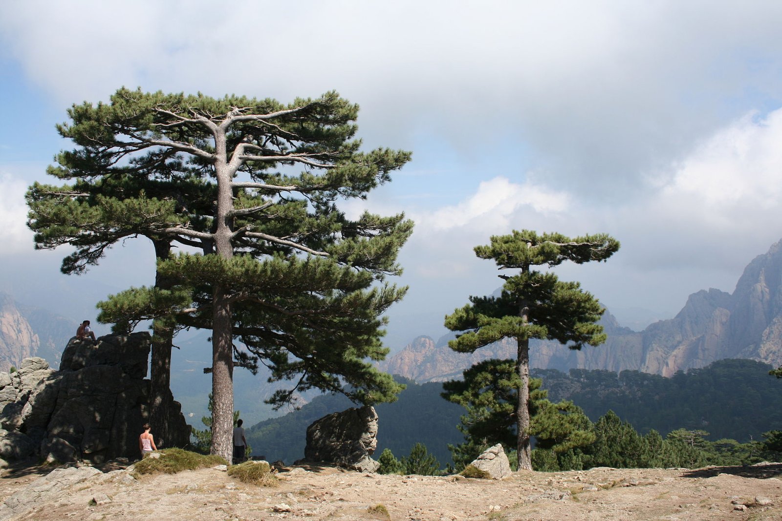 Descubre el Col de Bavella: un rincón de paraíso en Córcega - Zonza | Secret World Trip Planner