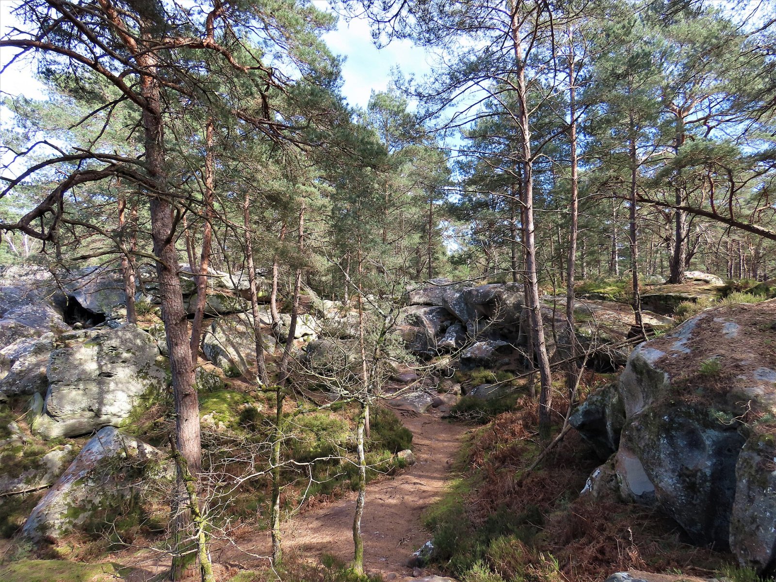 Scopri le Gorges de Franchard: un angolo di natura a Fontainebleau - Fontainebleau | Secret World Trip Planner