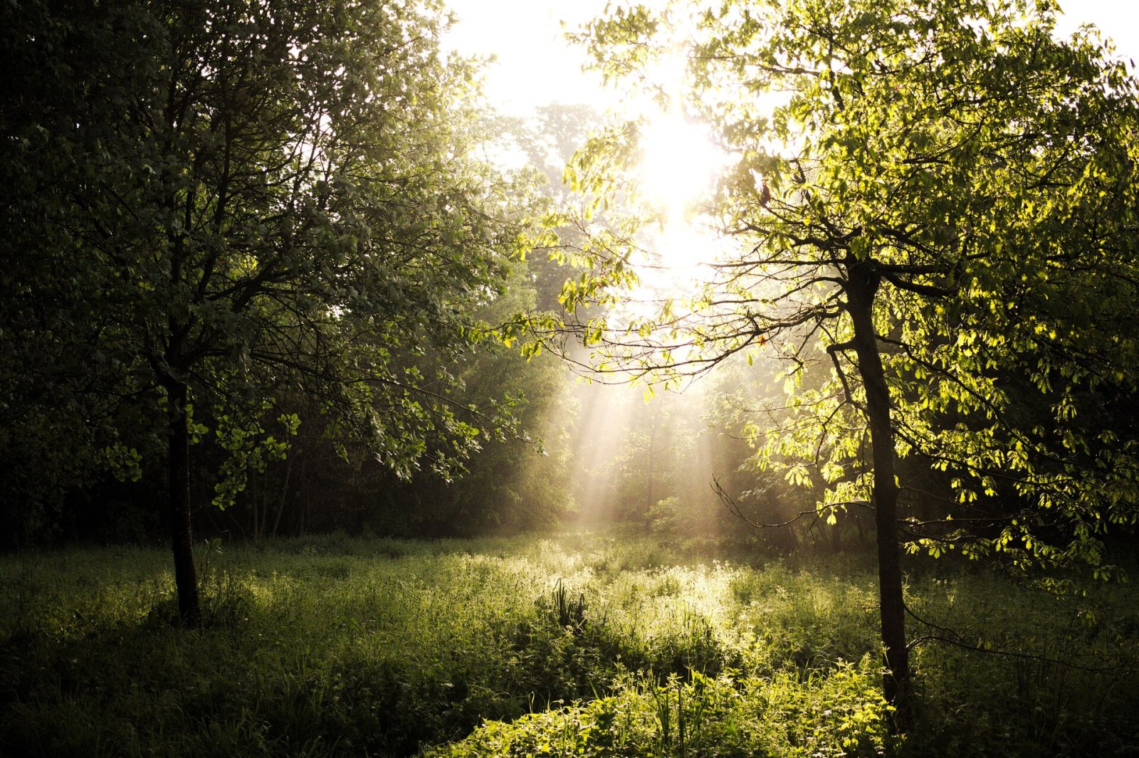 Descubre el Bois de Vincennes: la Naturaleza en París - Paris | Secret World Trip Planner