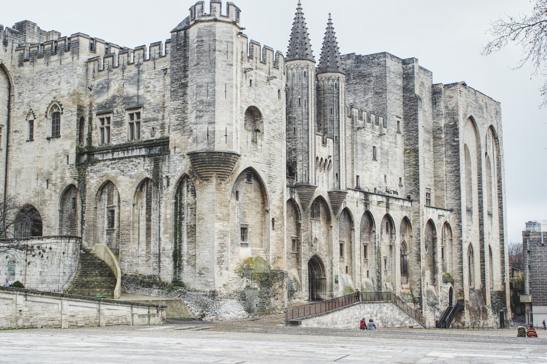 Discover the Palais des Papes in Avignon, a historical treasure - Avignon | Secret World Trip Planner