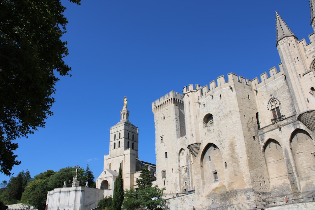 Descubre el Palais des Papes en Aviñón, un tesoro histórico - Avignon | Secret World Trip Planner