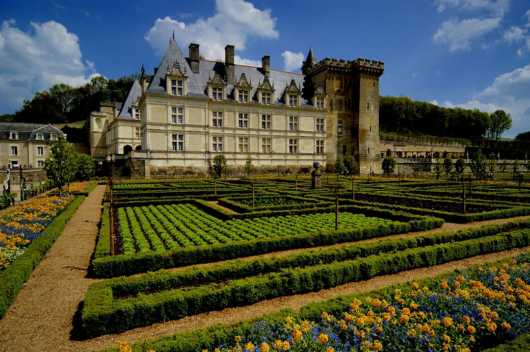 Découvrez le Château de Villandry : histoire et jardins enchanteurs - Villandry | Secret World Trip Planner