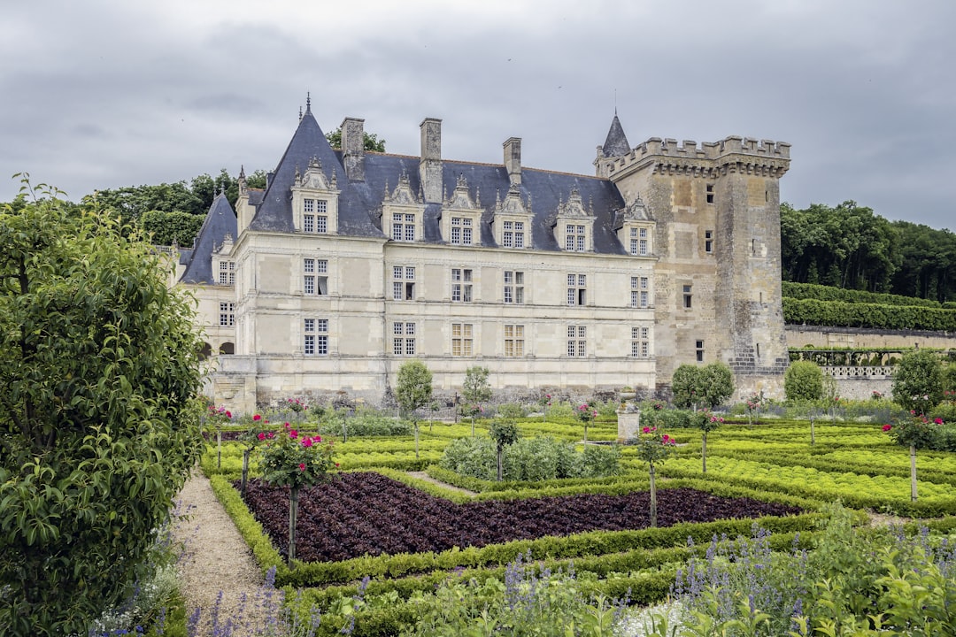 Откройте для себя Шато де Вилландри: история и очаровательные сады - Villandry | Secret World Trip Planner