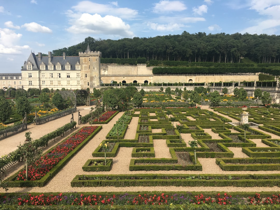 シャトー・ド・ヴィランドリーを発見：歴史と魅力的な庭園 - Villandry | Secret World Trip Planner