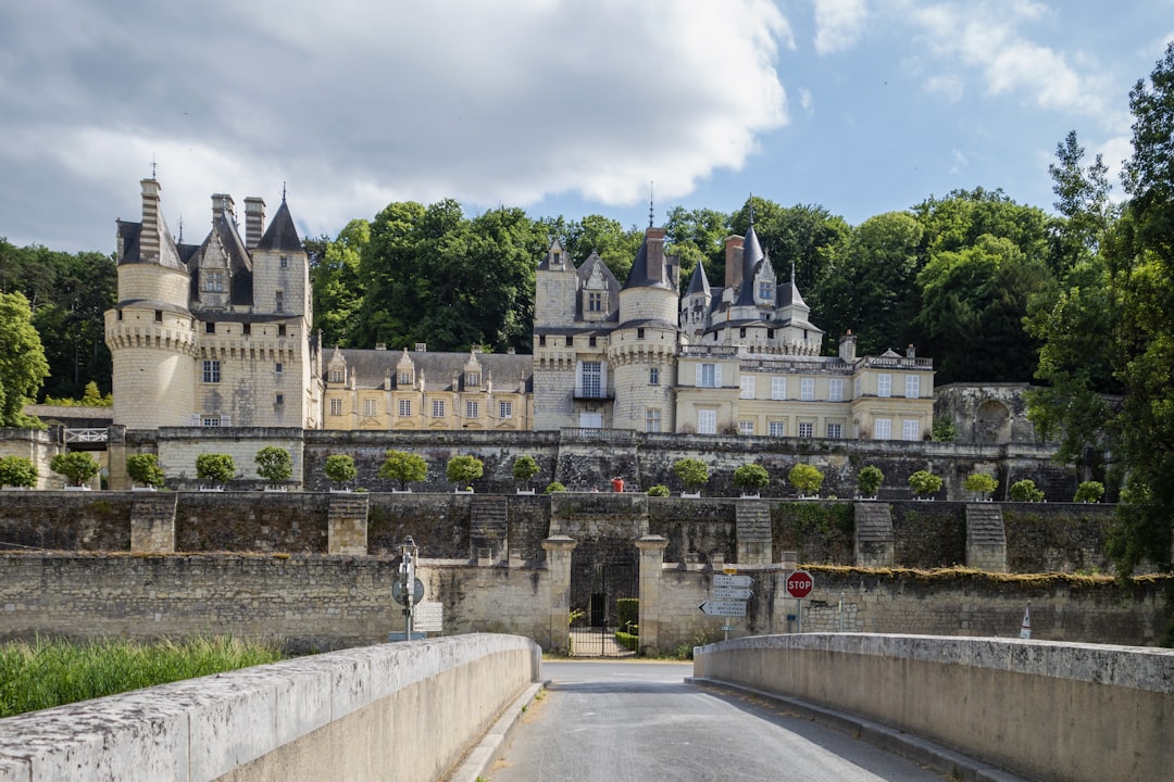 Découvrez le charme du Château d'Ussé : histoire et beauté - Rigny-Ussé | Secret World Trip Planner