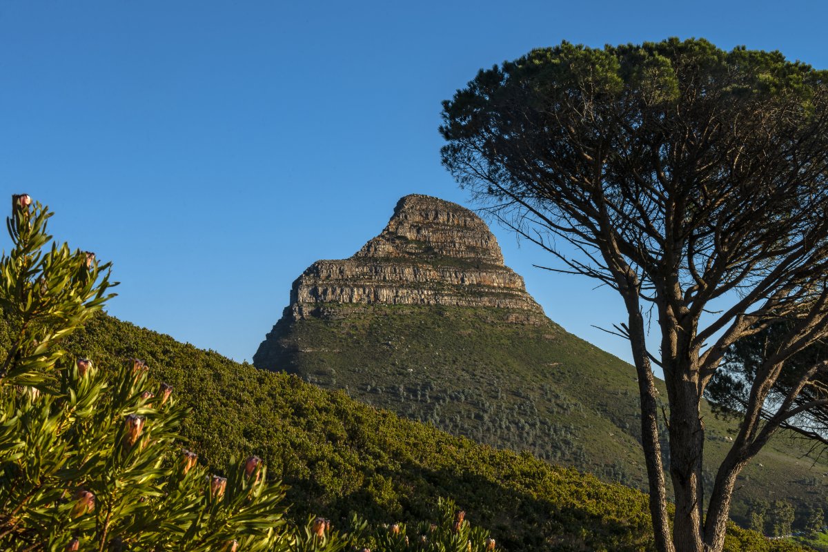 Table Mountain: A Natural Paradise in Cape Town - Città del Capo | Secret World Trip Planner