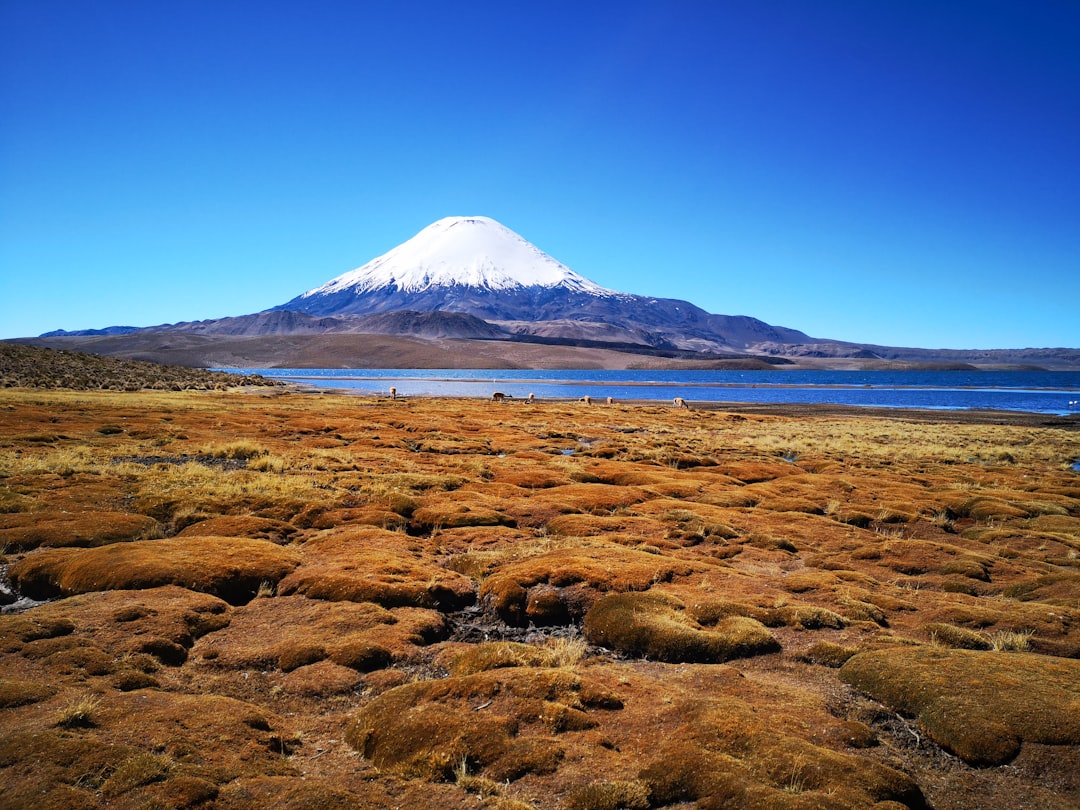 パリナコタ：アンデスの隠れた火山 - Parinacota | Secret World Trip Planner