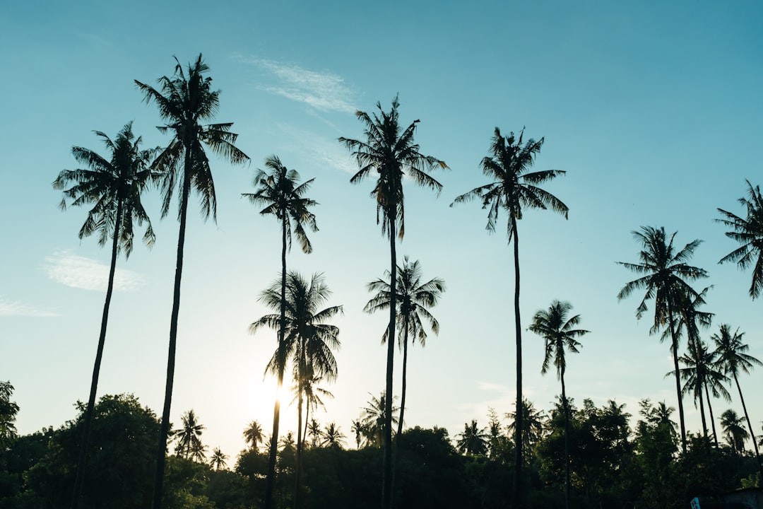 シークレットワールド2026レビュー：バリの最高のAI旅行プランナー - Bali | Secret World Trip Planner
