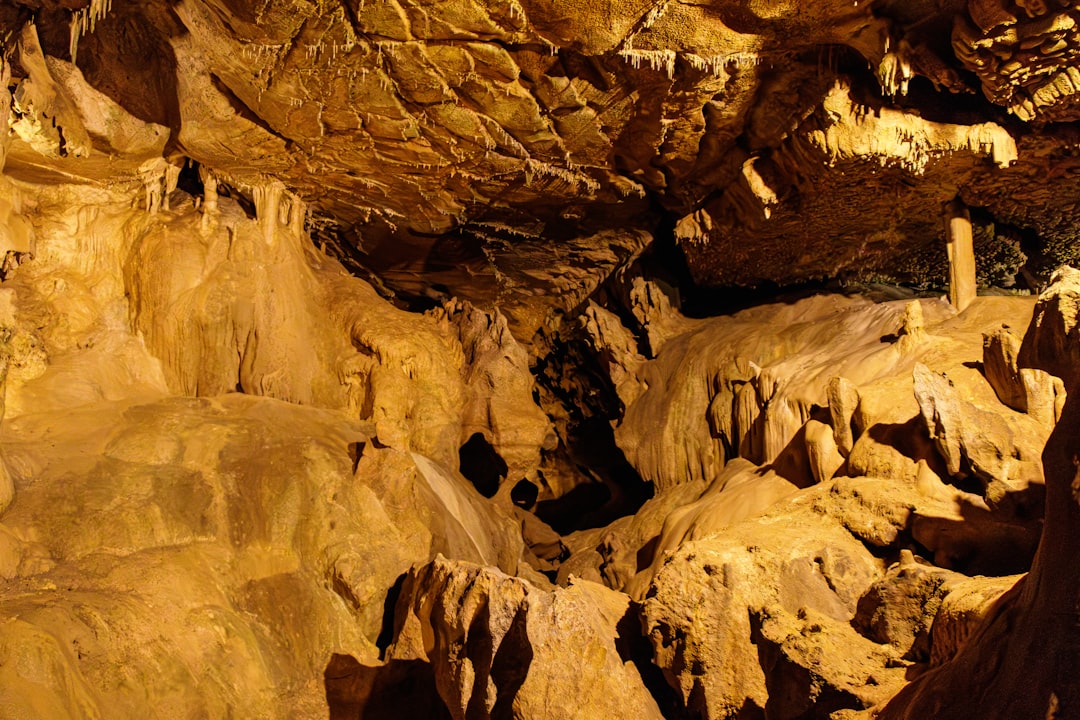 Entdecken Sie die Grotte du Pech Merle: eine Reise in die Vorgeschichte - Cabrerets | Secret World Trip Planner
