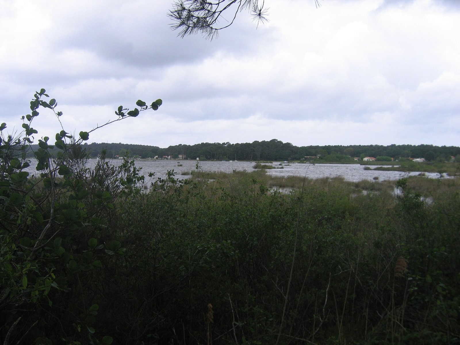 Scopri Lac de Lacanau: Un angolo di natura in Francia - Marquay | Secret World Trip Planner
