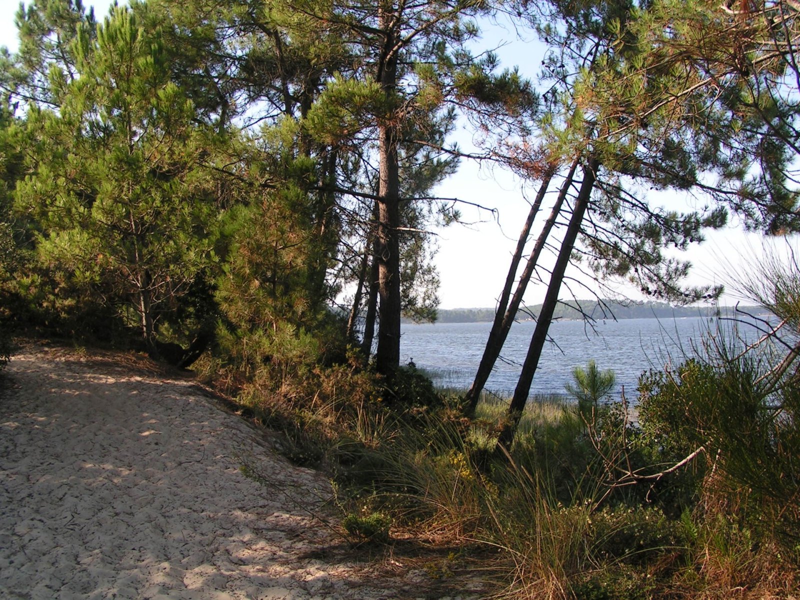 Discover Lac de Lacanau: A Natural Gem in France - Marquay | Secret World Trip Planner
