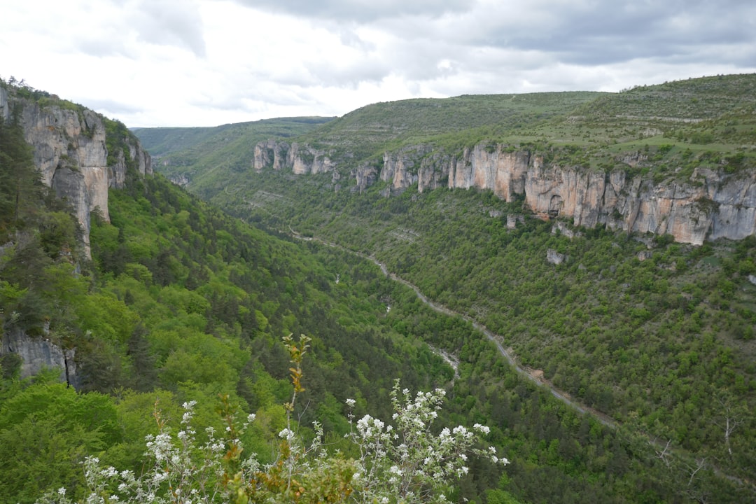 Gorges du Tarn: Um Paraíso Natural na Occitânia - Millau | Secret World Trip Planner