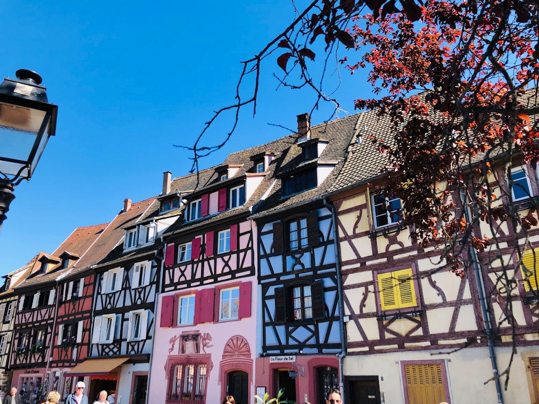 Découvrez la Route des Vins d'Alsace à Colmar - Colmar | Secret World Trip Planner