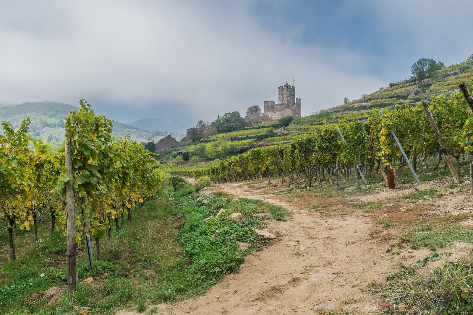 Descubra o encanto do Château de Kaysersberg na Alsácia - Kaysersberg Vignoble | Secret World Trip Planner