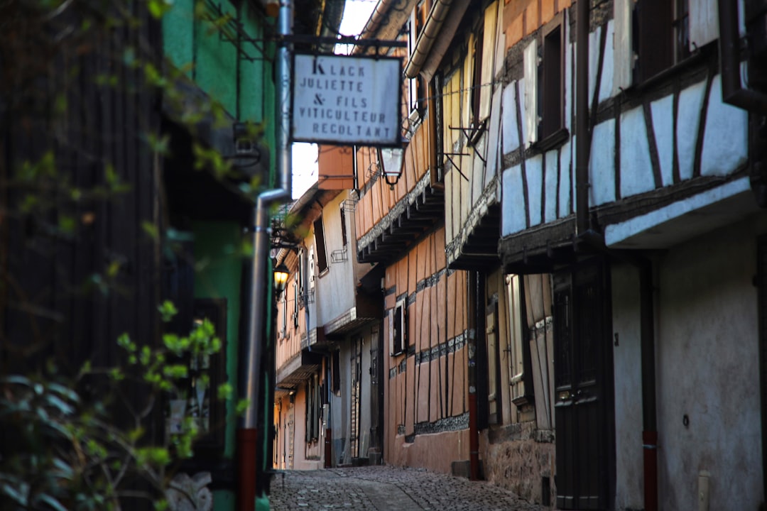 리퀴르: 알자스의 중세 보석 - Riquewihr | Secret World Trip Planner