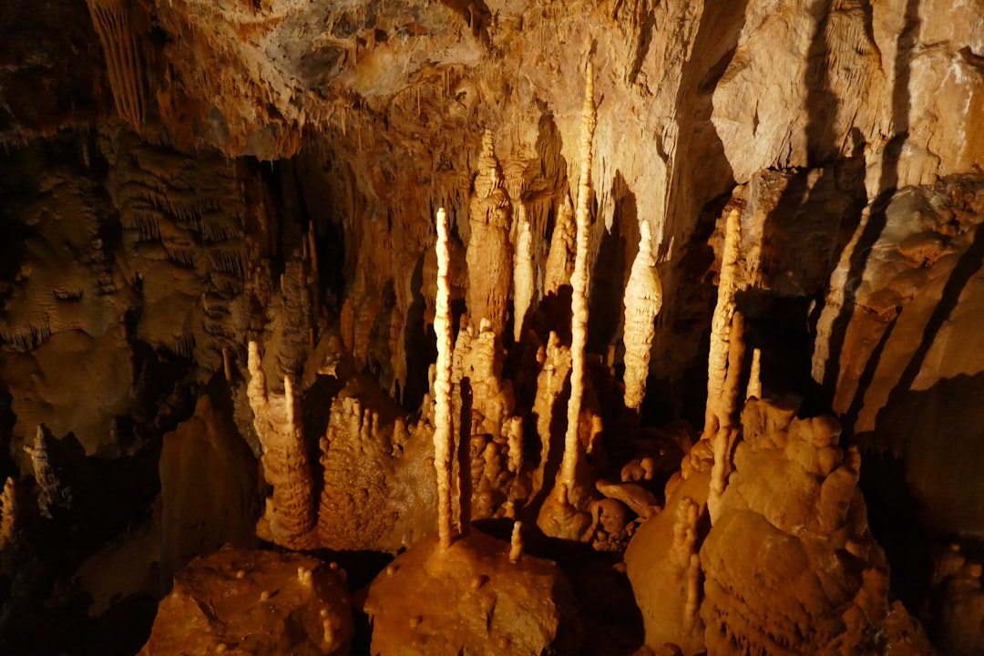 Entdecken Sie die Grotte de Villars: ein Schatz der Nouvelle-Aquitaine — Champagnac-de-Belair
