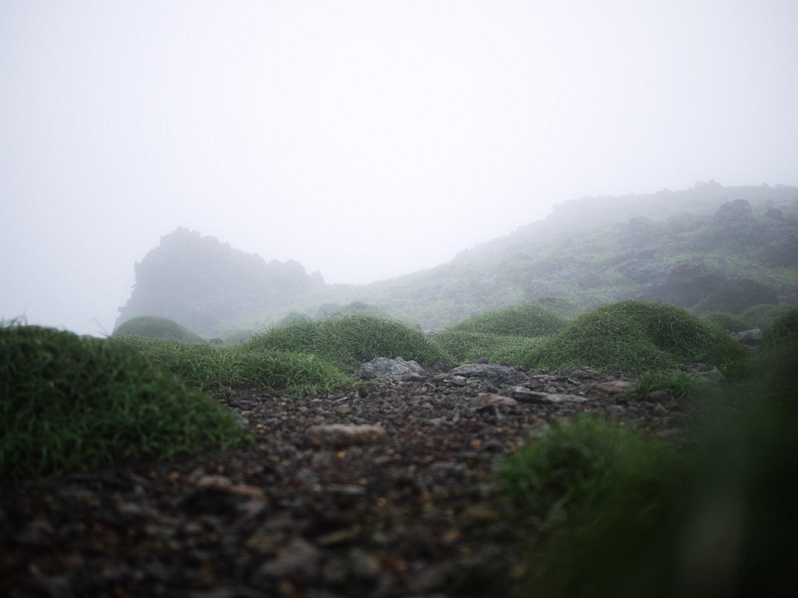 Descubre el Monte Aso: un viaje entre naturaleza y volcanes en Japón - Takamori | Secret World Trip Planner