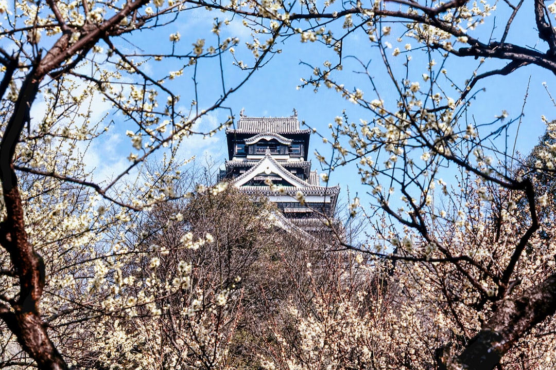 Exploring Kumamoto Castle: History and Beauty - Kumamoto | Secret World Trip Planner