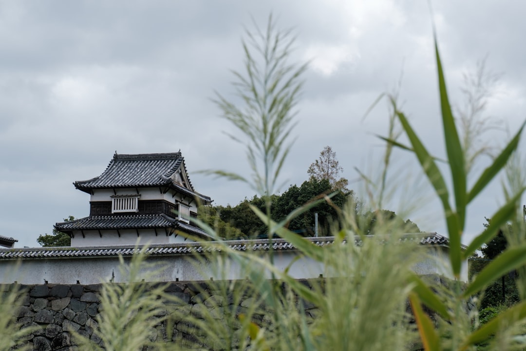 Fukuoka Castle erkunden: Geschichte und Schönheiten von Kyushu - Fukuoka | Secret World Trip Planner