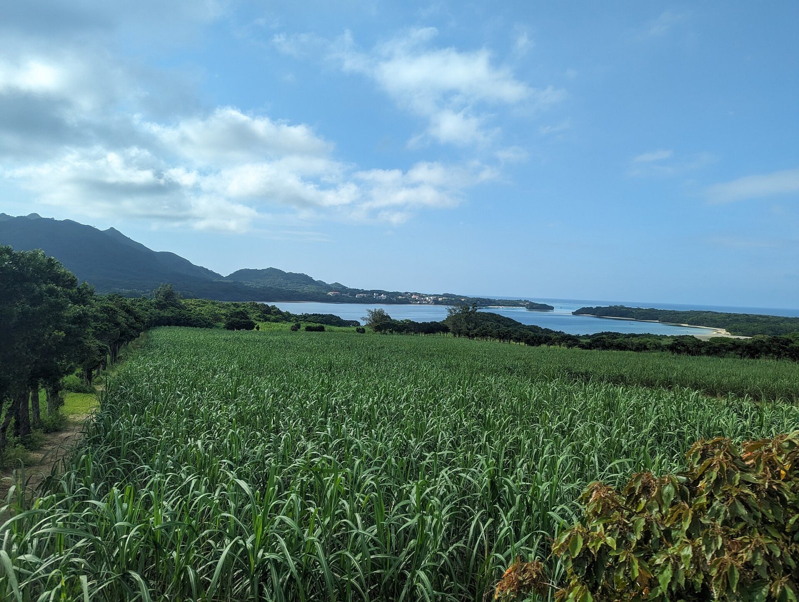 Ishigaki Island: un gioiello naturale delle Okinawa giapponesi - Ishigaki | Secret World Trip Planner