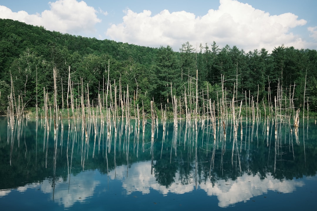 Découvrez le Blue Pond de Biei : un coin de paradis au Japon - Biei | Secret World Trip Planner
