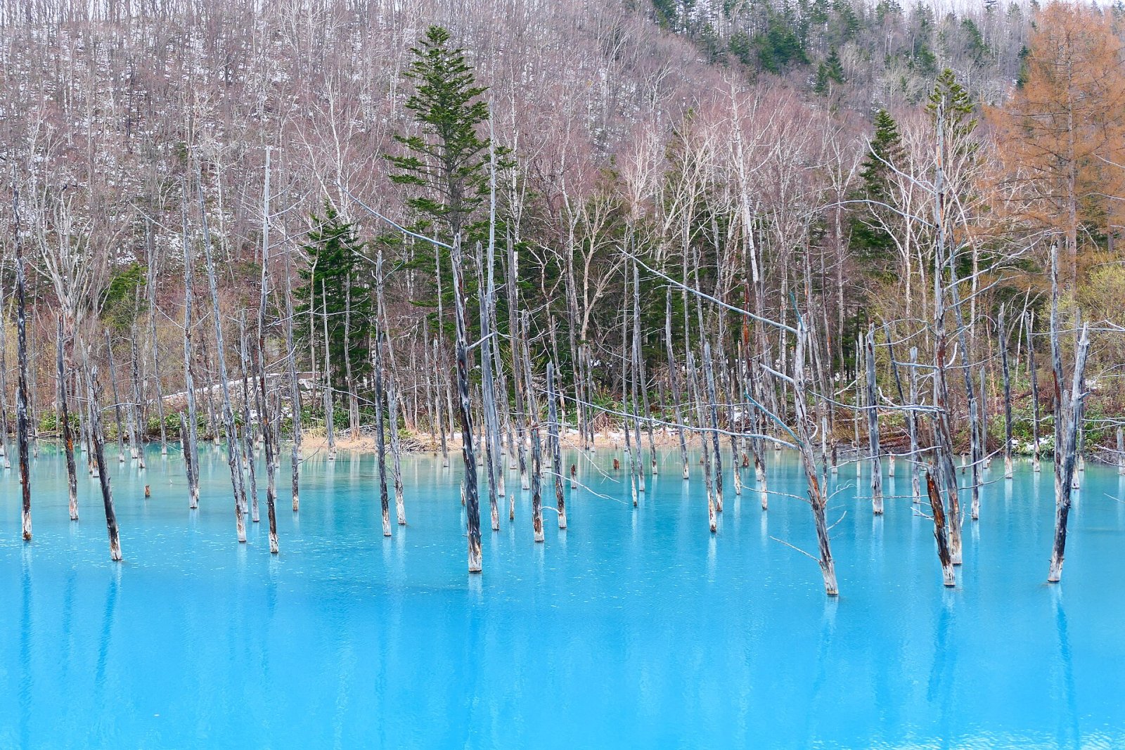 Descubre el Blue Pond de Biei: un rincón de paraíso en Japón - Biei | Secret World Trip Planner