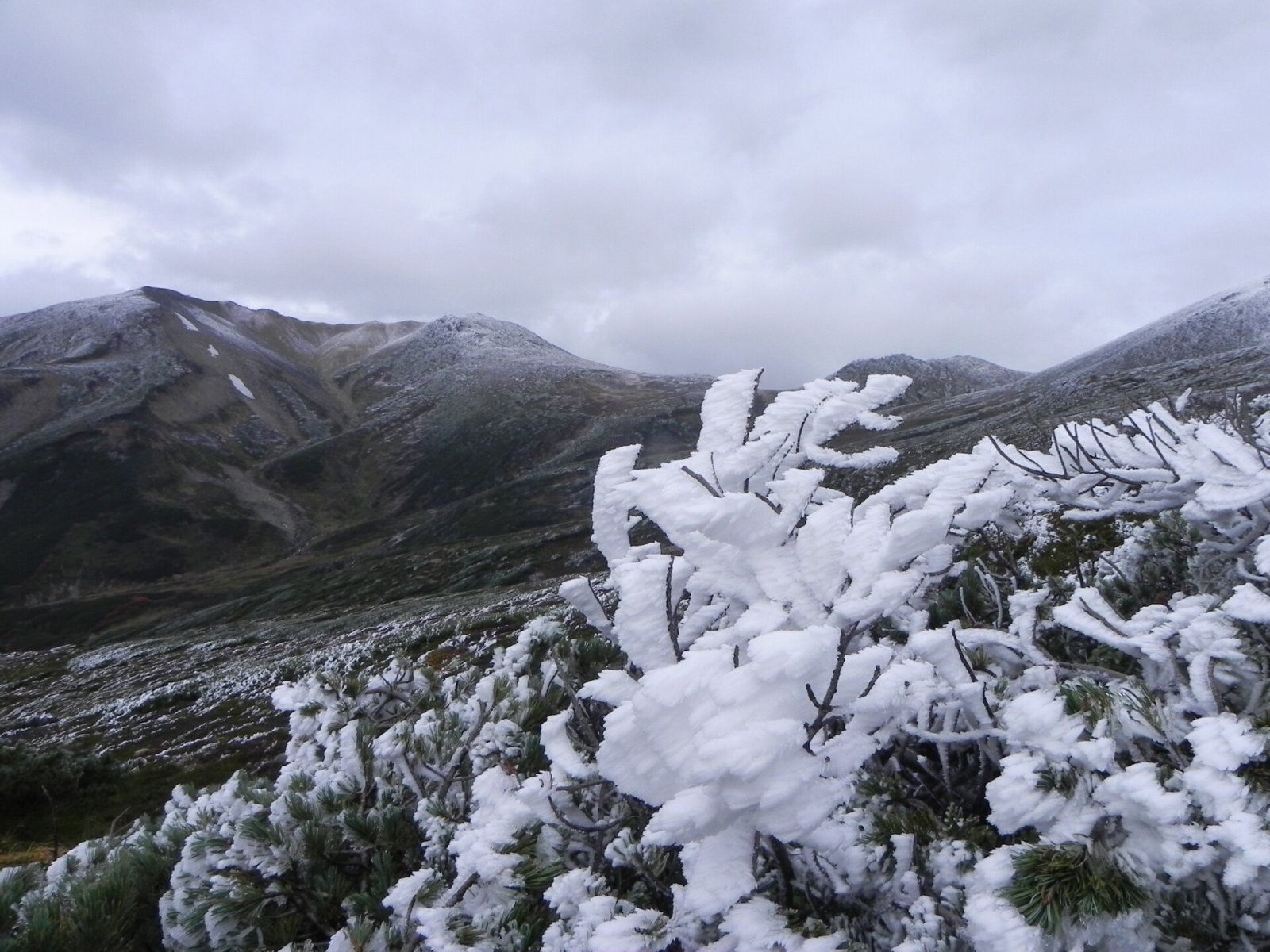 Entdecken Sie die Schönheit des Daisetsuzan-Nationalparks in Hokkaido - Higashikawa | Secret World Trip Planner