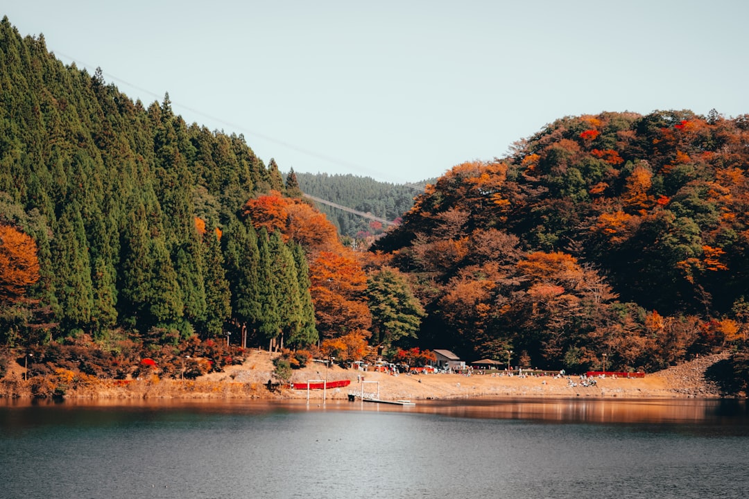 Discover Lake Akan: A Corner of Untouched Nature in Japan | Secret World Trip Planner