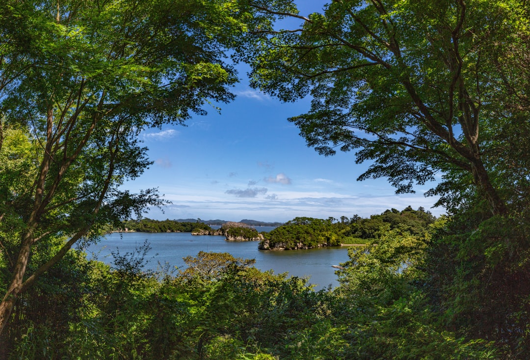 Matsushima Bay: Un Paradiso Naturale nel Cuore del Giappone — Matsushima