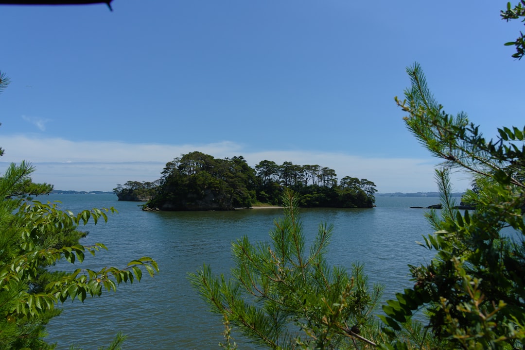 Matsushima Bay: Un Paradiso Naturale nel Cuore del Giappone - Matsushima | Secret World Trip Planner