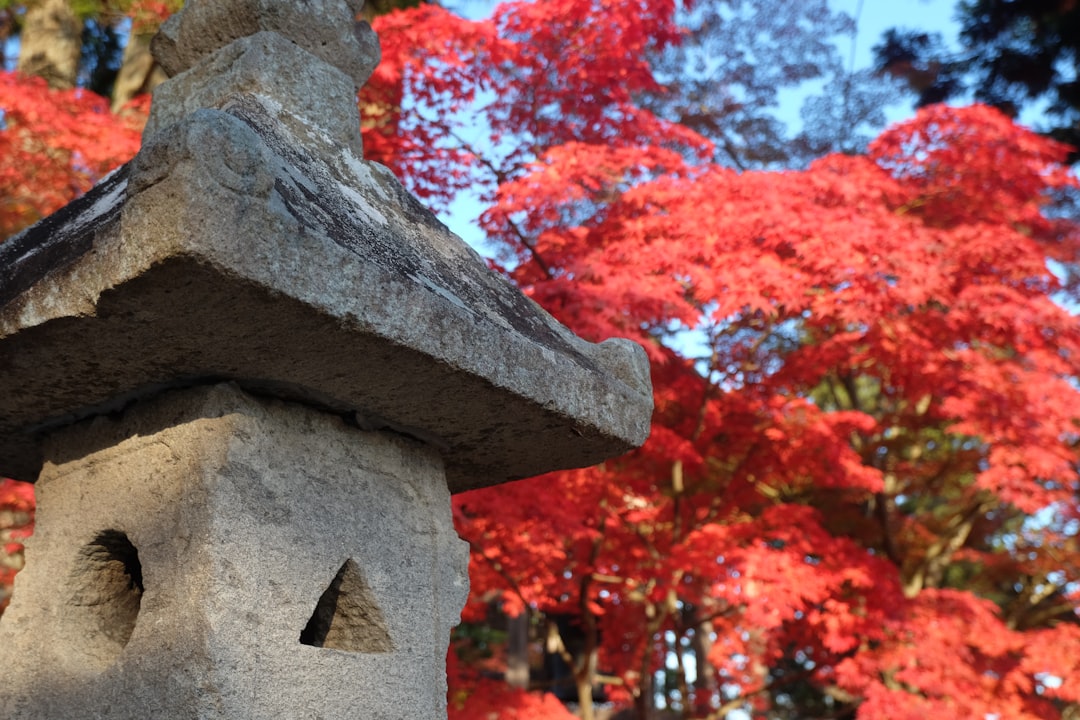 Hiraizumi Chusonji entdecken: ein historischer Schatz in Tohoku - Hiraizumi | Secret World Trip Planner