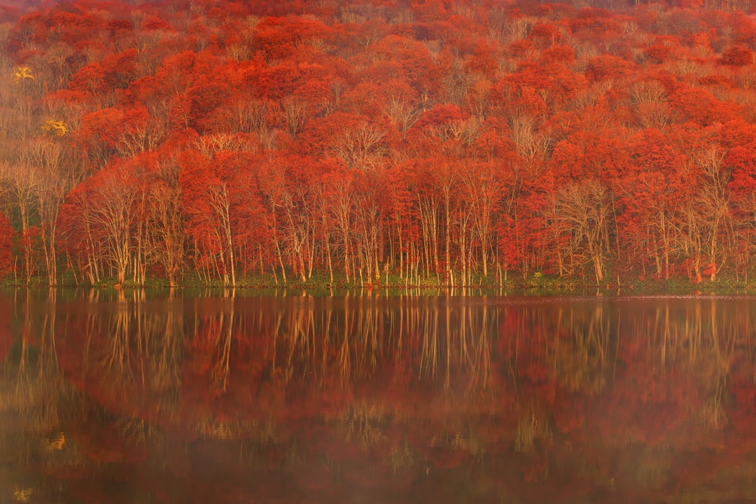 Entdecken Sie den Towada-See: ein Naturjuwel in Tohoku - Towada | Secret World Trip Planner